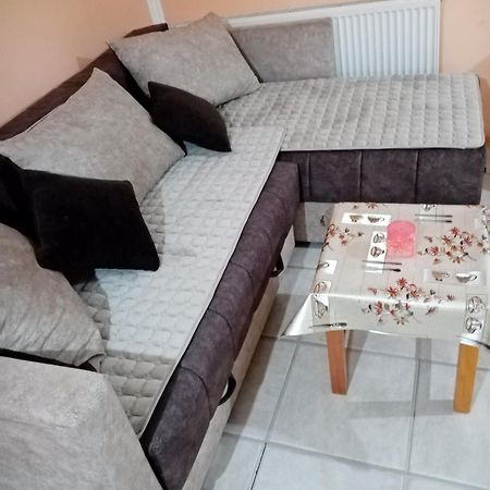 Milica Apartmani Vrdnik Buitenkant foto