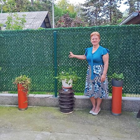 Milica Apartmani Vrdnik Buitenkant foto