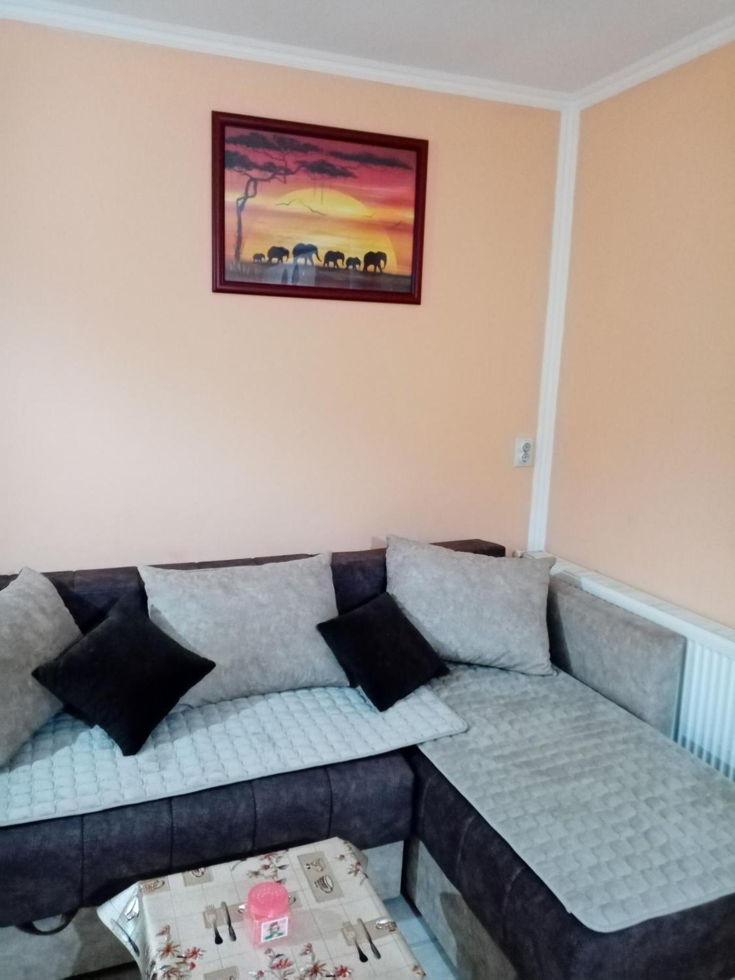 Milica Apartmani Vrdnik Buitenkant foto
