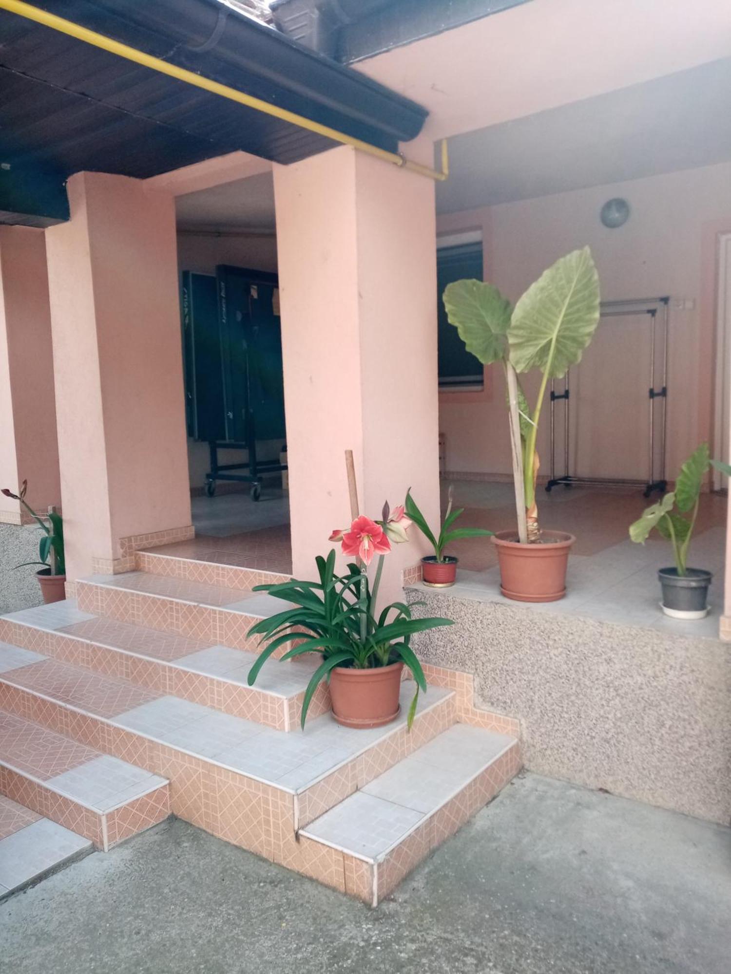 Milica Apartmani Vrdnik Buitenkant foto