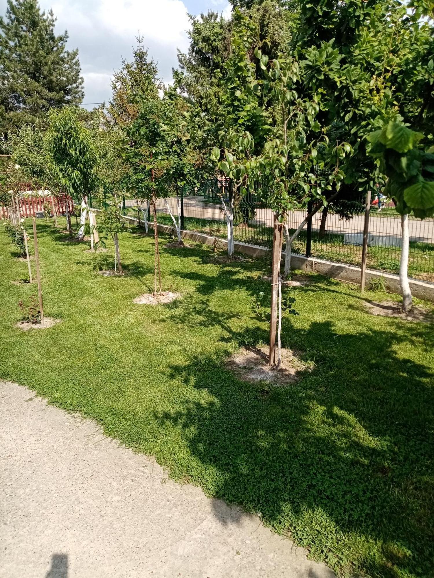 Milica Apartmani Vrdnik Buitenkant foto