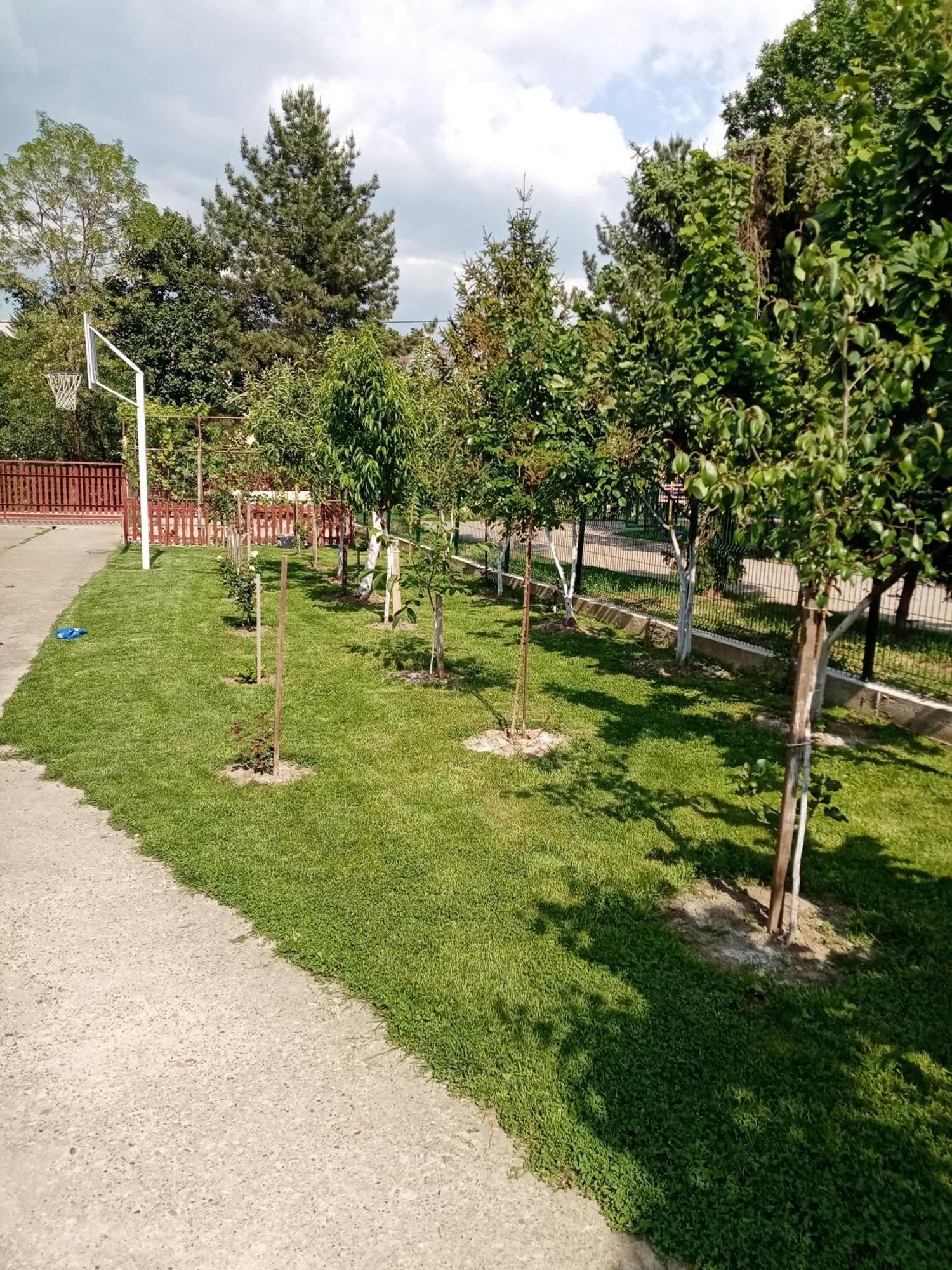 Milica Apartmani Vrdnik Buitenkant foto