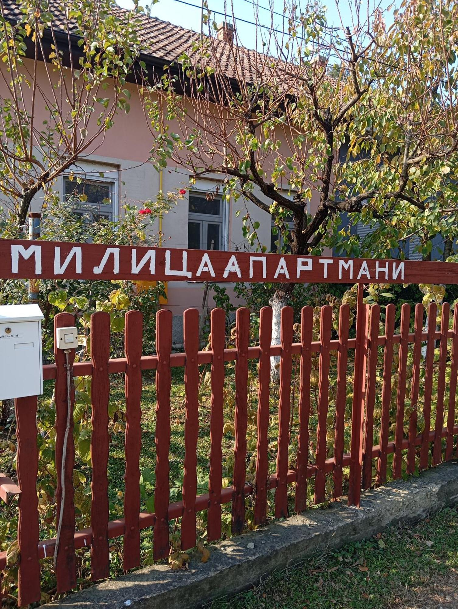 Milica Apartmani Vrdnik Buitenkant foto