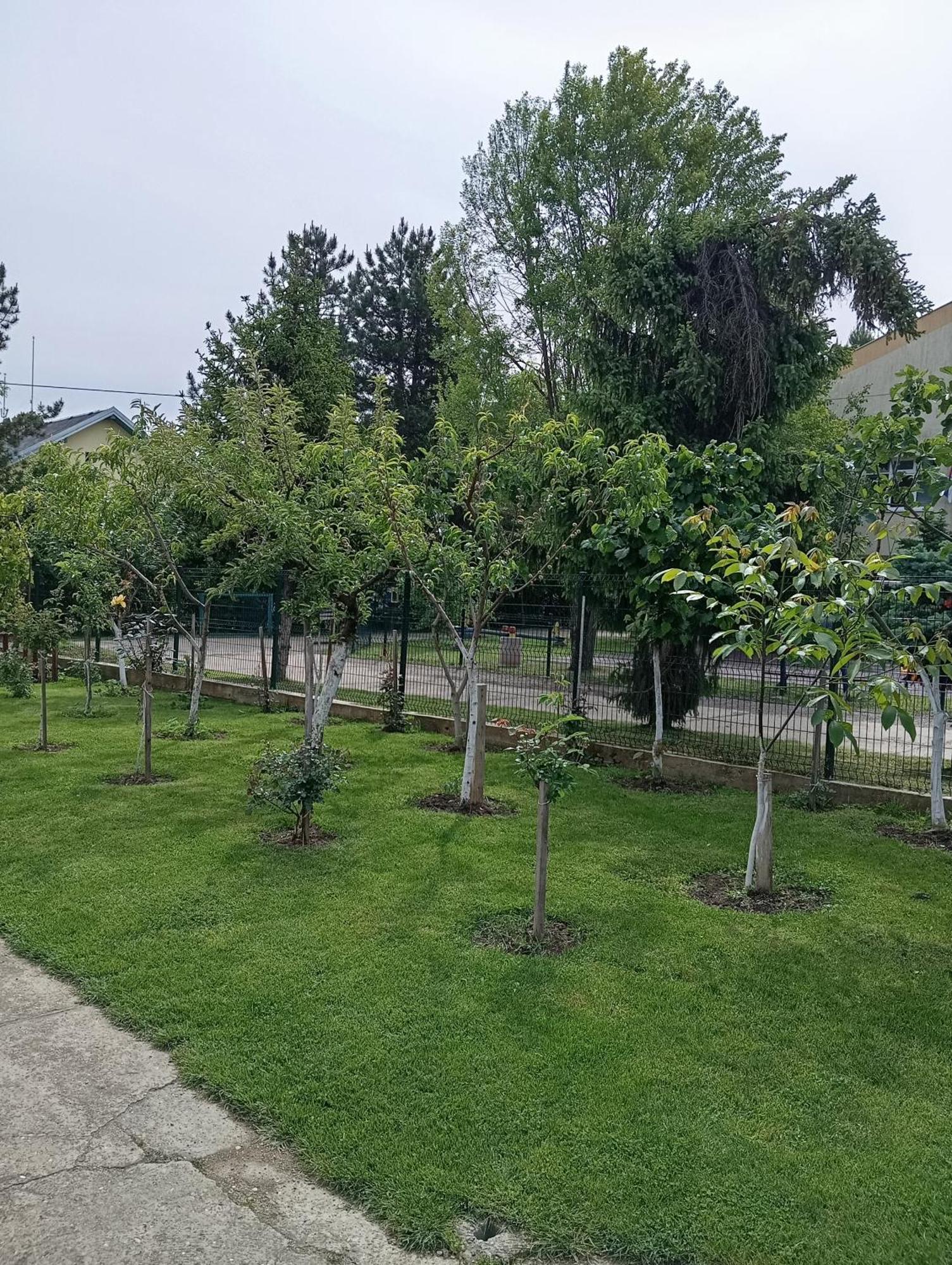 Milica Apartmani Vrdnik Buitenkant foto